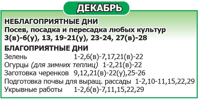 Лунный календарь 2025 год Декабрь