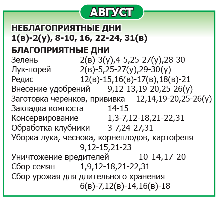 Лунный календарь 2025 год Август