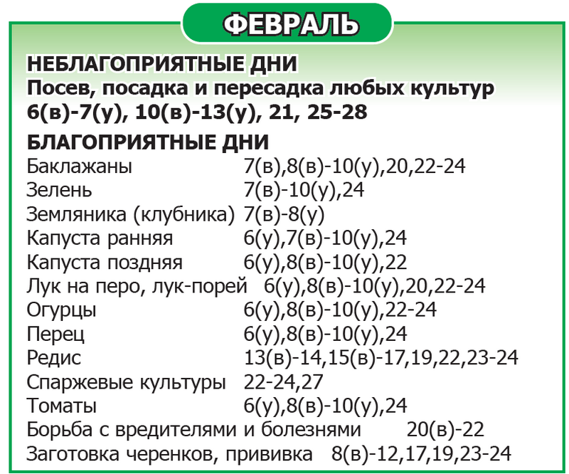 Лунный календарь 2025 год Февраль