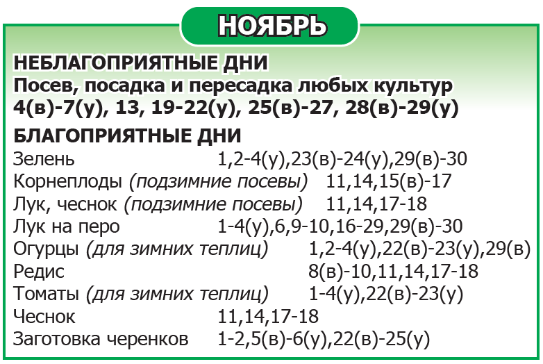 Лунный календарь 2025 год Ноябрь